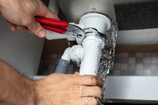 Best Mold removal after water damage  in Slater, IA