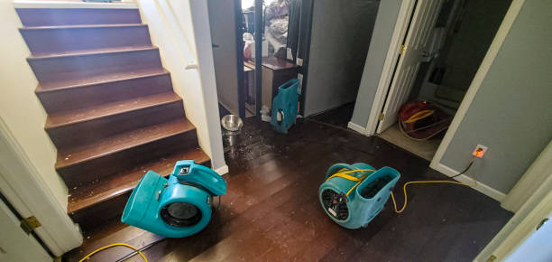 Best Basement water damage restoration  in Slater, IA