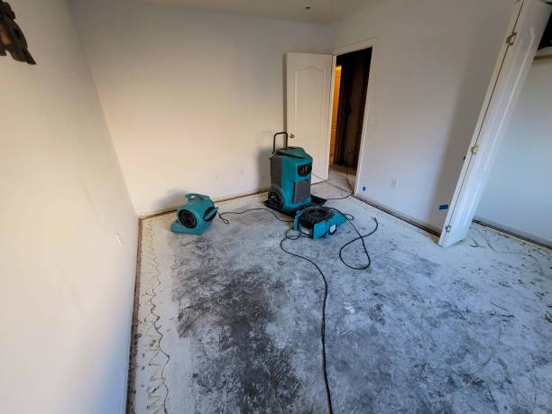 Best Local water damage restoration  in Slater, IA
