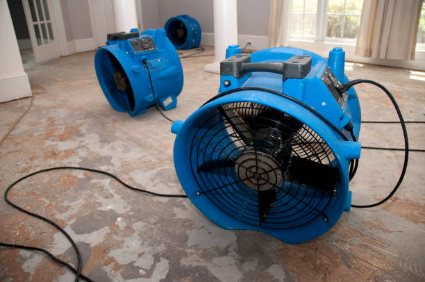 Best Fire Damage Restoration  in Slater, IA