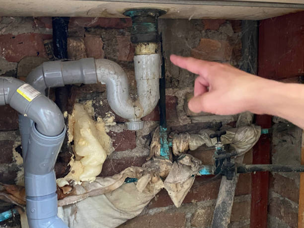 Best Water damage cleanup near me  in Slater, IA